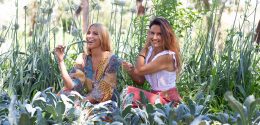Entrevista à Ana Garcez